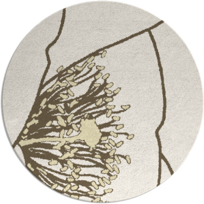 i spy rug - item 612174