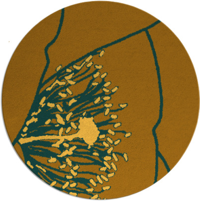 i spy rug - item 612186