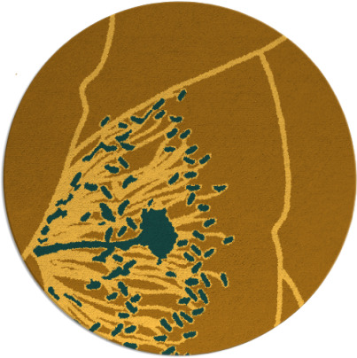 i spy rug - item 612188