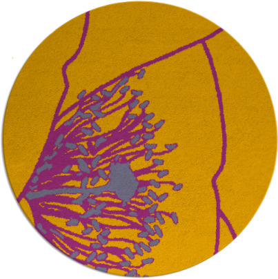 i spy rug - item 612195