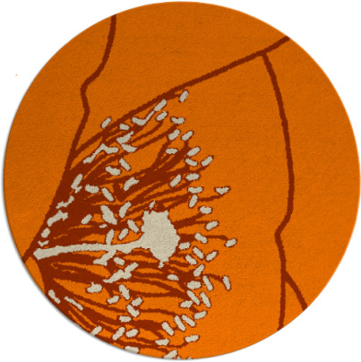 i spy rug - item 612198