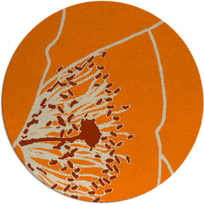 i spy rug - item 612200