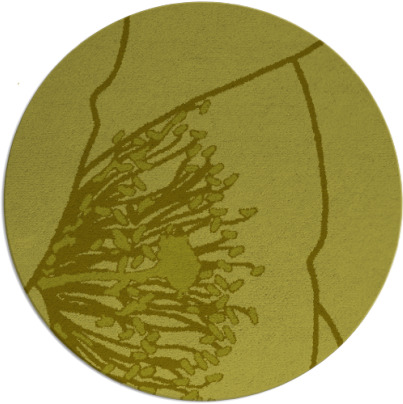 i spy rug - item 612204