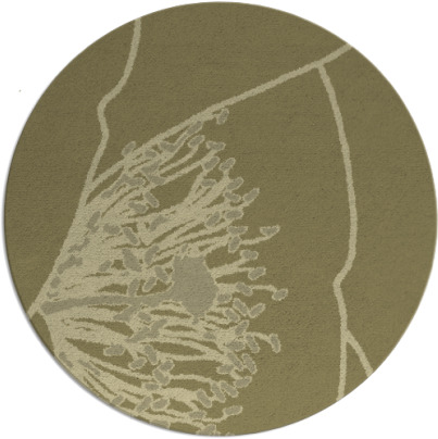 i spy rug - item 612205