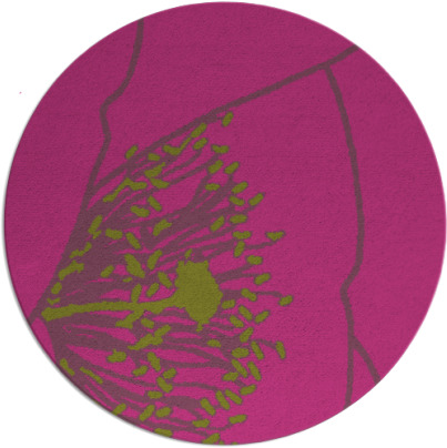 i spy rug - item 612210