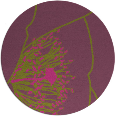 i spy rug - item 612211