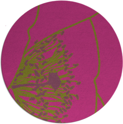 i spy rug - item 612212