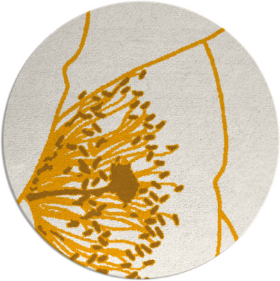 i spy rug - item 612220