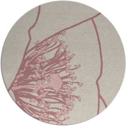 i spy rug - item 612224