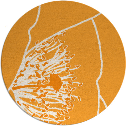 i spy rug - item 612226