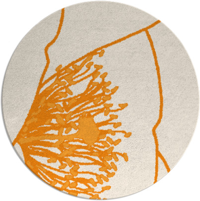 i spy rug - item 612227