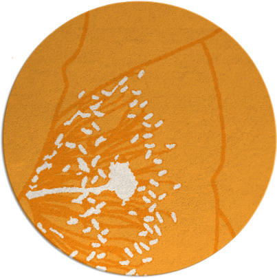 i spy rug - item 612228