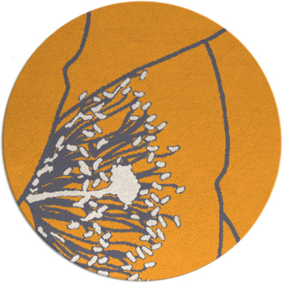 i spy rug - item 612229