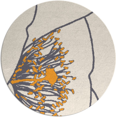 i spy rug - item 612230