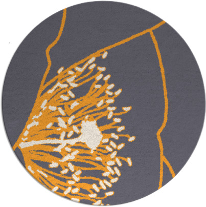 i spy rug - item 612231