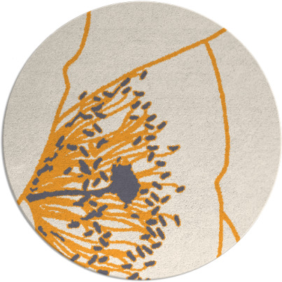 i spy rug - item 612232