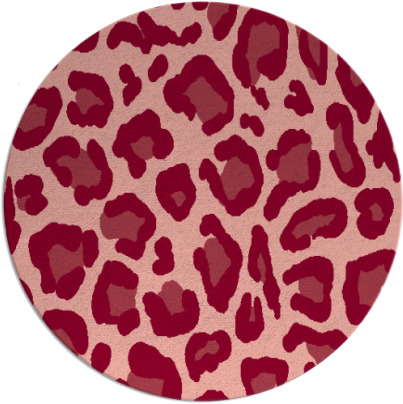 homecat rug - item 624420