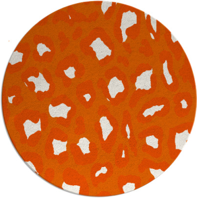 homecat rug - item 624472