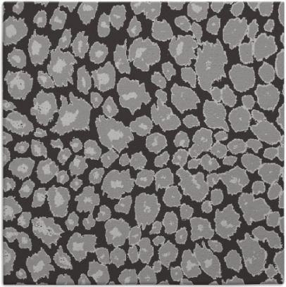 leopard rug - item 630232