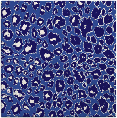 leopard rug - item 630289