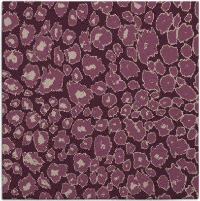 leopard rug - item 630348