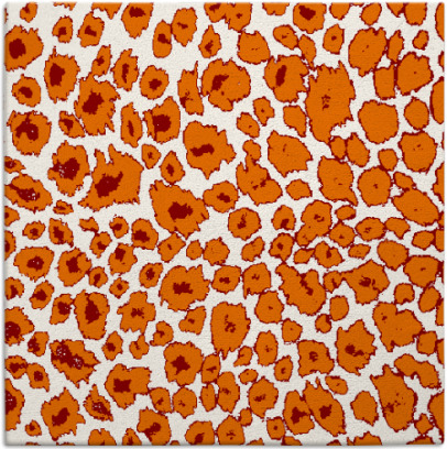leopard rug - item 630378