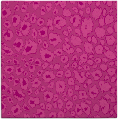 leopard rug - item 630395