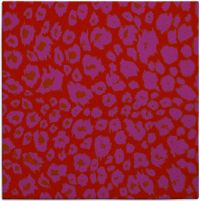 leopard rug - item 630437