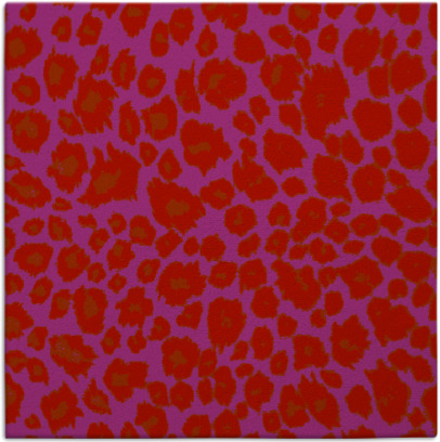 leopard rug - item 630438