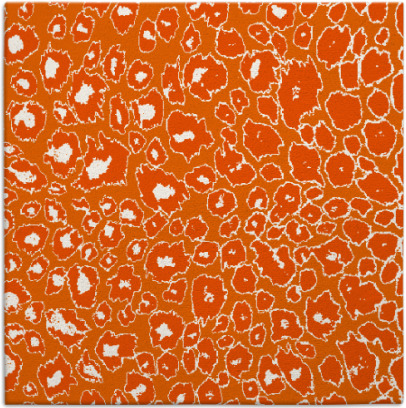 leopard rug - item 630456