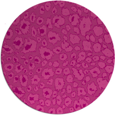 leopard rug - item 631451