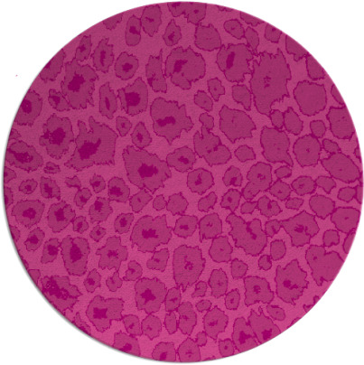 leopard rug - item 631452