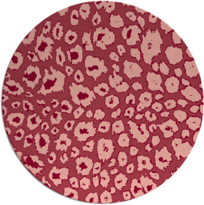 leopard rug - item 631457