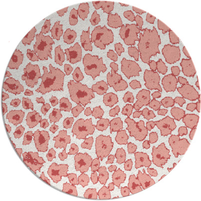 leopard rug - item 631462