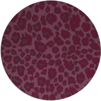 leopard rug - item 631468