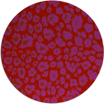 leopard rug - item 631493