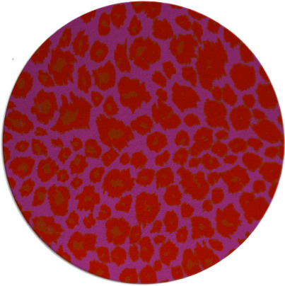 leopard rug - item 631494
