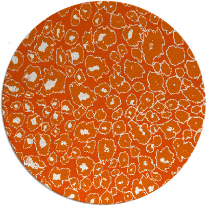 leopard rug - item 631511