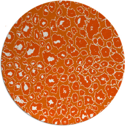 leopard rug - item 631512