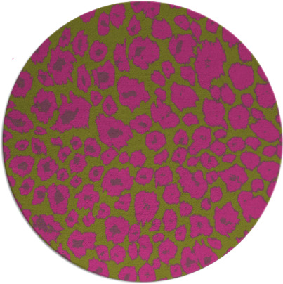leopard rug - item 631569