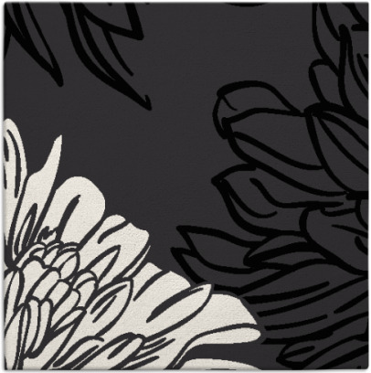 asha rug - item 656592