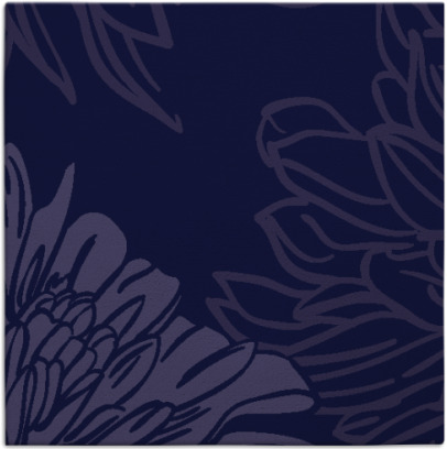 asha rug - item 656670