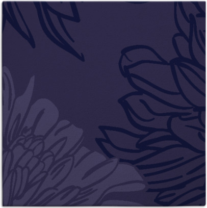 asha rug - item 656672