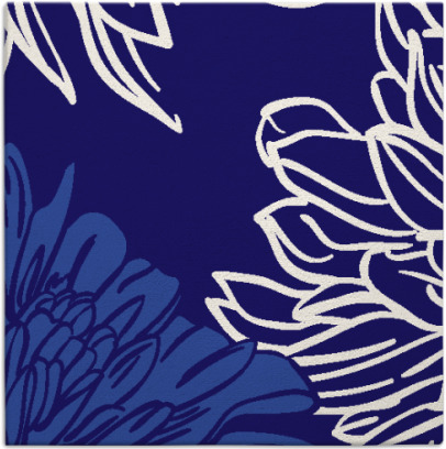 asha rug - item 656689