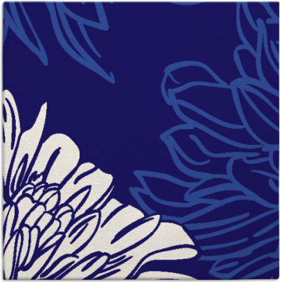 asha rug - item 656691