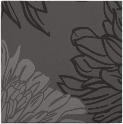 asha rug - item 656734