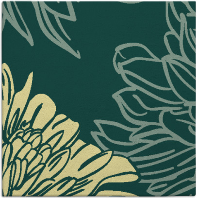 asha rug - item 656789