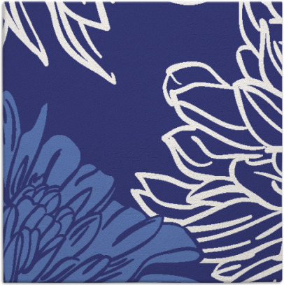 asha rug - item 656867