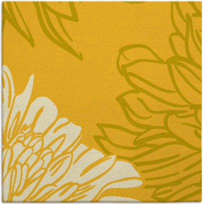 asha rug - item 656873