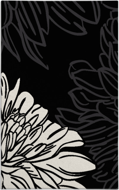 asha rug - item 657294